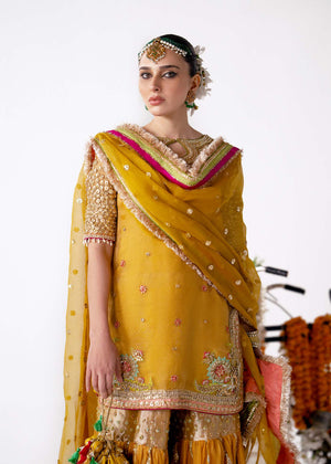 Indian Mustard Embellished Organza Gharara Set (3-Piece) - Image 4