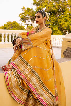 Mustard Hand-Embellished Organza & Silk Gharara (3-Piece) - Image 6