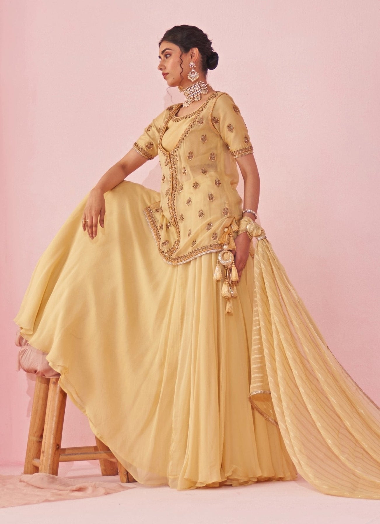 Pale Yellow Resham & Zari Embroidered Lehenga (3-Piece) - Image 3