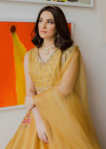 Mustard Embroidered Korean Rawsilk Lehnga Choli (3-Piece) - Image 9