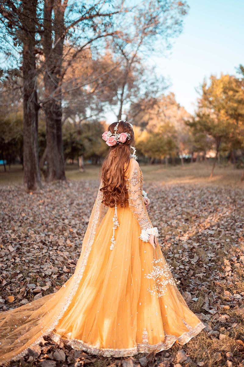 Mustard Embroidered Net Pishwas Dress (3-Piece) - Image 5