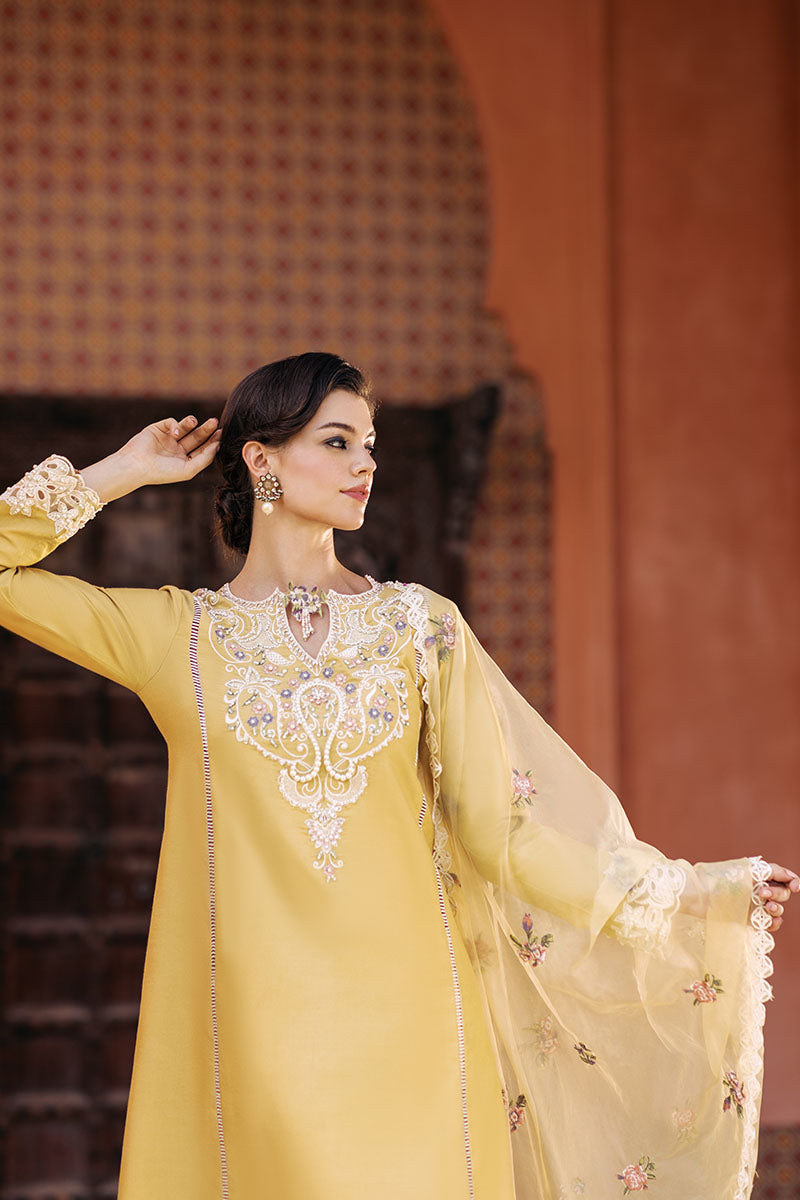 Mustard Embroidered Cotton Net Salwar Kameez (3-Piece) - Image 3