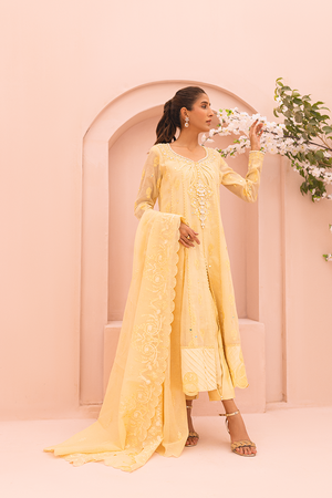 Pakistani Yellow Embroidered Cotton Net Salwar Kameez (3-Piece) - Image 1