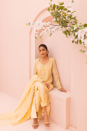 Pakistani Yellow Embroidered Cotton Net Salwar Kameez (3-Piece) - Image 5