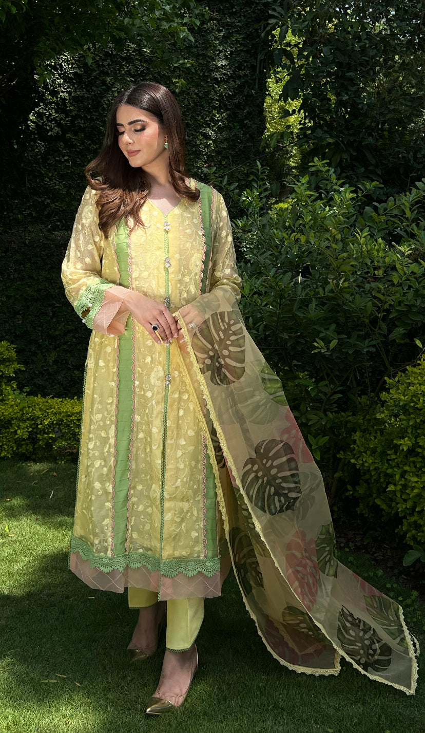 Pakistani Marigold Yellow Embroidered Cotton Net Salwar Kameez (3-Piece) - Image 3