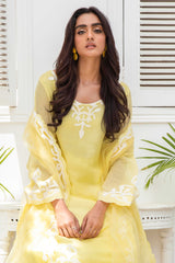 Lemon Yellow Appliqué French Cotton Net Salwar Kameez (3-Piece) - Image 3