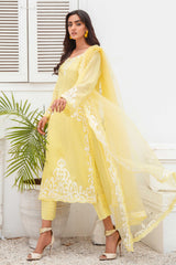 Lemon Yellow Appliqué French Cotton Net Salwar Kameez (3-Piece) - Image 4