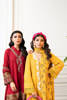 Pakistani Saffron Yellow Embroidered Khaddar Salwar Kameez (3-Piece) - Image 6