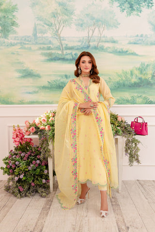 Pakistani Yellow Embroidered Khaddi Net & Raw Silk Salwar Kameez (4-Piece) - Image 5