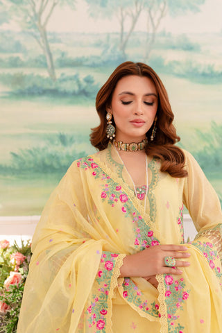 Pakistani Yellow Embroidered Khaddi Net & Raw Silk Salwar Kameez (4-Piece) - Image 7