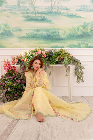 Pakistani Yellow Embroidered Khaddi Net & Raw Silk Salwar Kameez (4-Piece) - Image 9