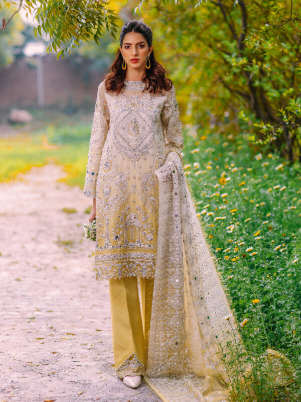 Yellow Ombre Mirror & Swarovski Organza Salwar Kameez (3-Piece) - Image 1