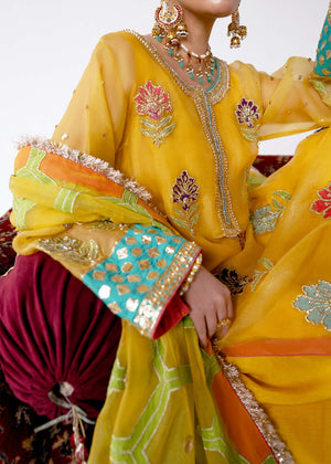Pakistani Yellow Naqshi & Gotta Embroidered Organza Salwar Kameez (3-Piece) - Image 9
