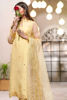 Pakistani Yellow Sitara Embroidered Organza Salwar Kameez (3-Piece) - Image 3