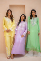 Lemon Anchor Embroidered Raw Silk Salwar Kameez (2-Piece) - Image 6