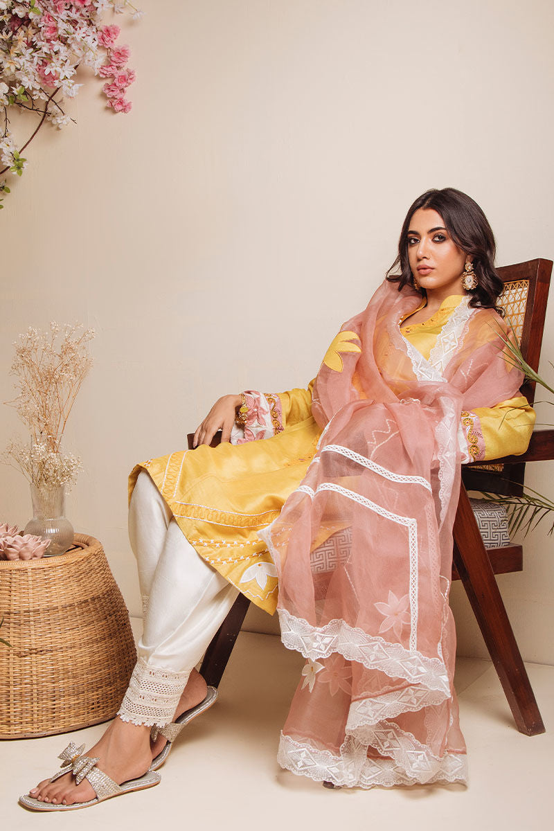 Pakistani Mustard Embroidered Pure Raw Silk Salwar Kameez (3-Piece) - Image 10