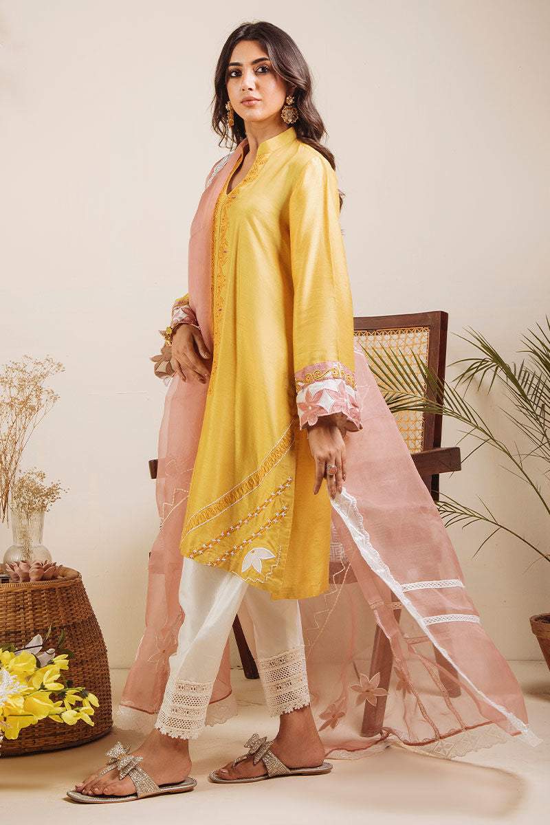 Pakistani Mustard Embroidered Pure Raw Silk Salwar Kameez (3-Piece) - Image 3