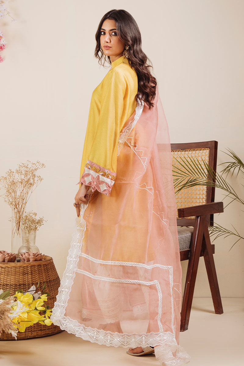 Pakistani Mustard Embroidered Pure Raw Silk Salwar Kameez (3-Piece) - Image 6