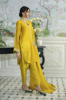 Honey Daffodil Embellished Sheesha Silk Salwar Kameez (3-Piece) - Image 6