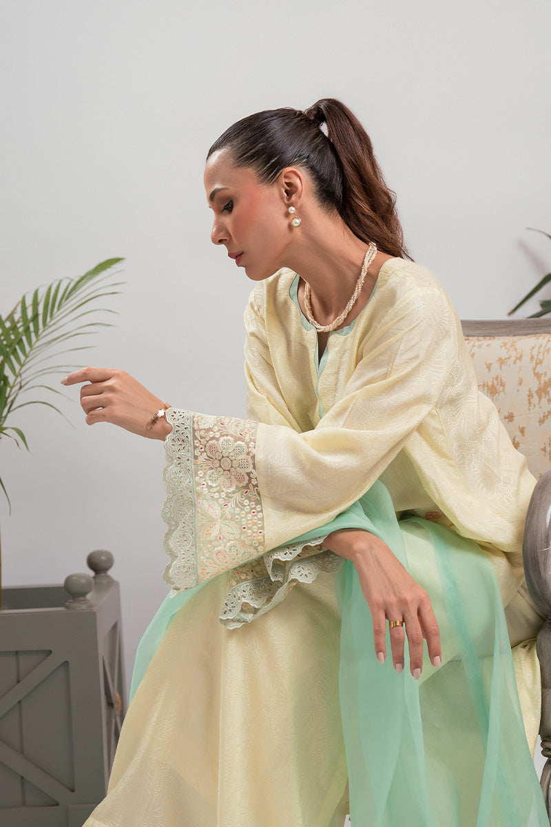 Yellow Appliqué Embroidered Silk Salwar Kameez (2-Piece) - Image 4