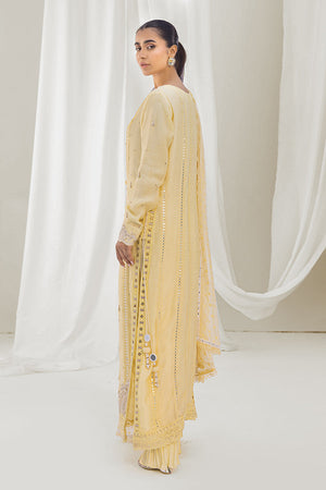 Pakistani Yellow Embroidered Silk Net Salwar Kameez (3-Piece) - Image 3