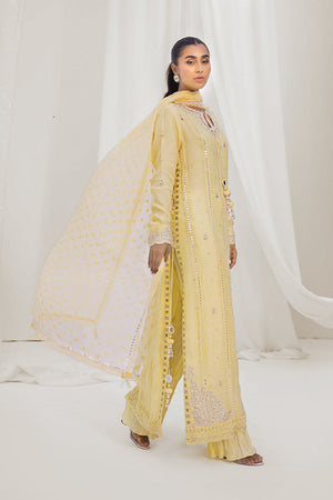 Pakistani Yellow Embroidered Silk Net Salwar Kameez (3-Piece) - Image 4