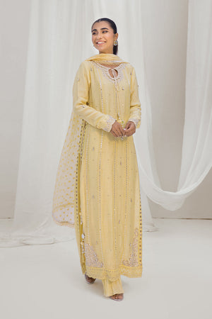 Pakistani Yellow Embroidered Silk Net Salwar Kameez (3-Piece) - Image 5