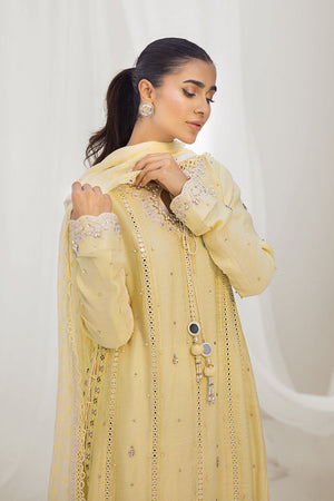 Pakistani Yellow Embroidered Silk Net Salwar Kameez (3-Piece) - Image 6