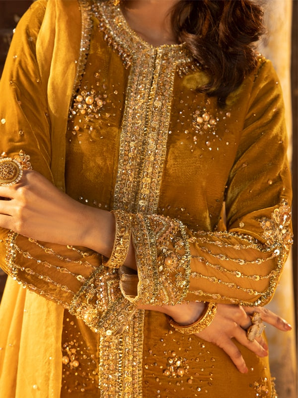 Pakistani Mustard Embellished Velvet Salwar Kameez (3-Piece) - Image 4