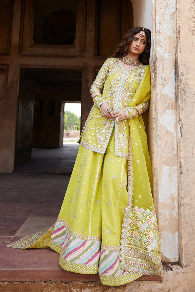 Lemon Yellow Gota Embroidered Cotton Net Sharara (3-Piece) - Image 2