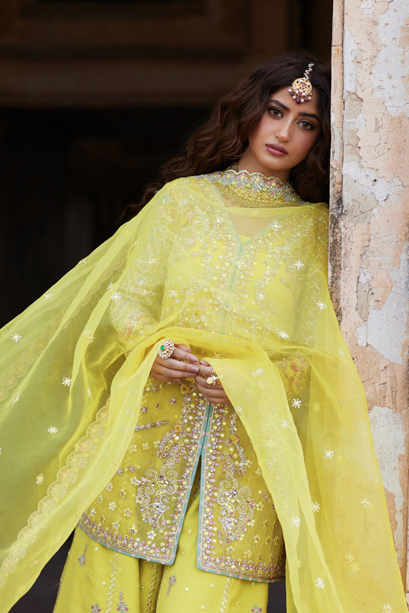 Lemon Yellow Gotta Embroidered Cotton Net Sharara (3-Piece) - Image 3
