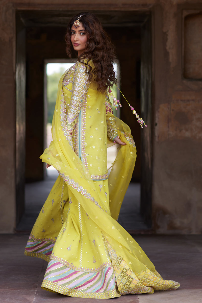 Lemon Yellow Gotta Embroidered Cotton Net Sharara (3-Piece) - Image 4